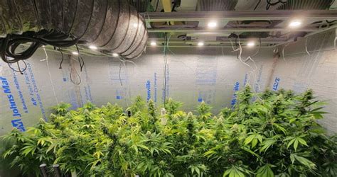 gfci for cannabis grow rooms